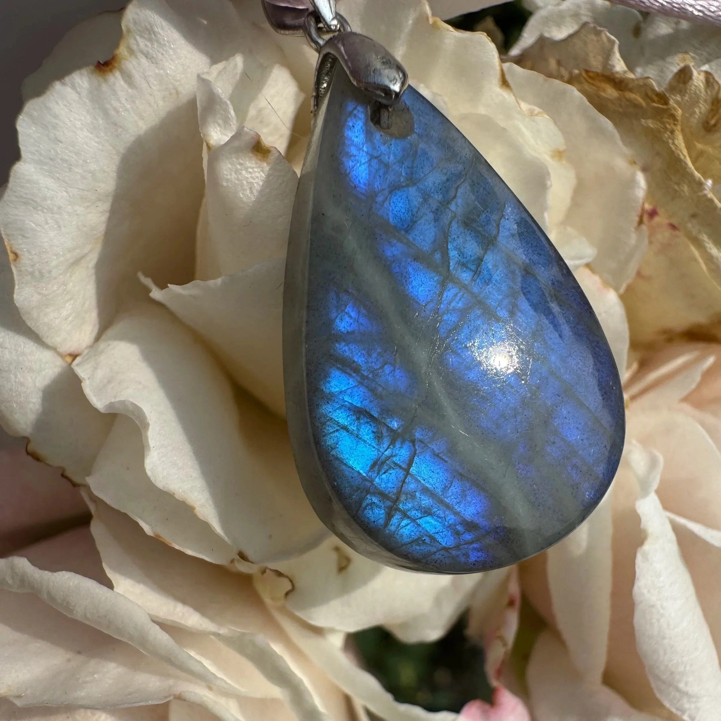 Survivor - Drilled Labradorite Pendant S925 - Royalty Collection