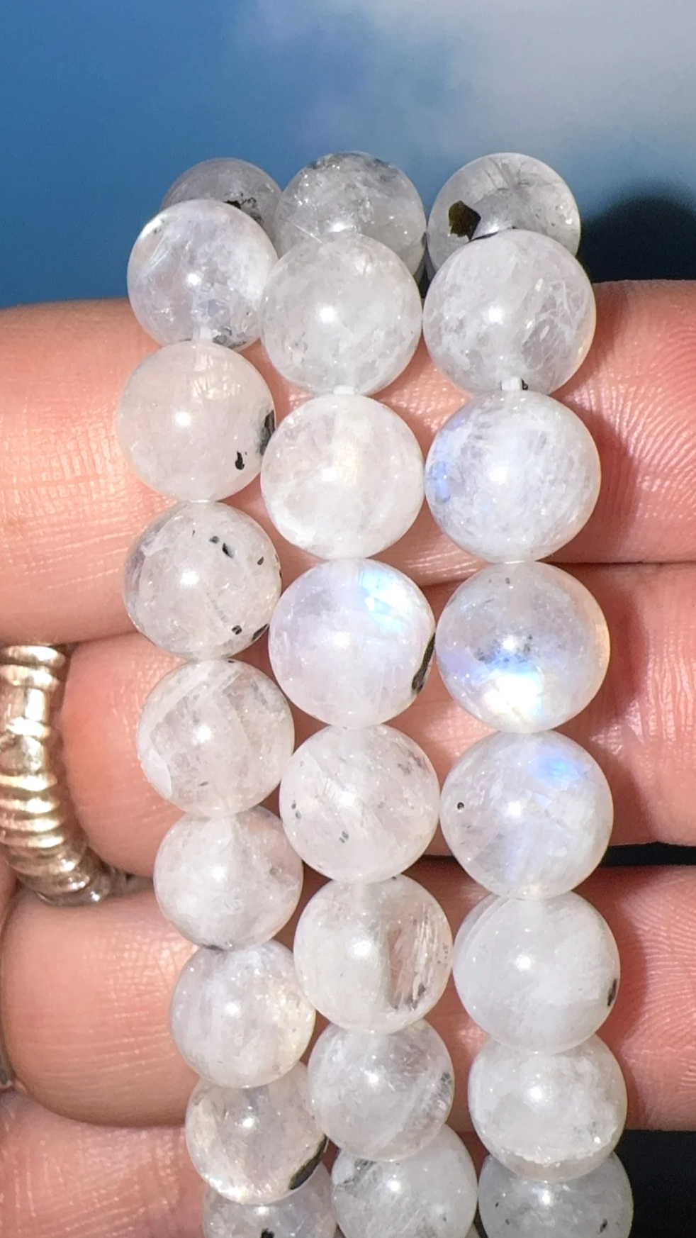 IMG_6697.png