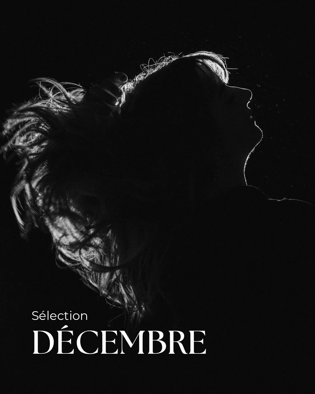 Clap de fin sur le mois de d&eacute;cembre ! 🎬❄️
Ce dernier mois de l&rsquo;ann&eacute;e a &eacute;t&eacute; riche en &eacute;motions et en superbes rencontres. Voici une petite s&eacute;lection de mes clich&eacute;s favoris r&eacute;alis&eacute;s c