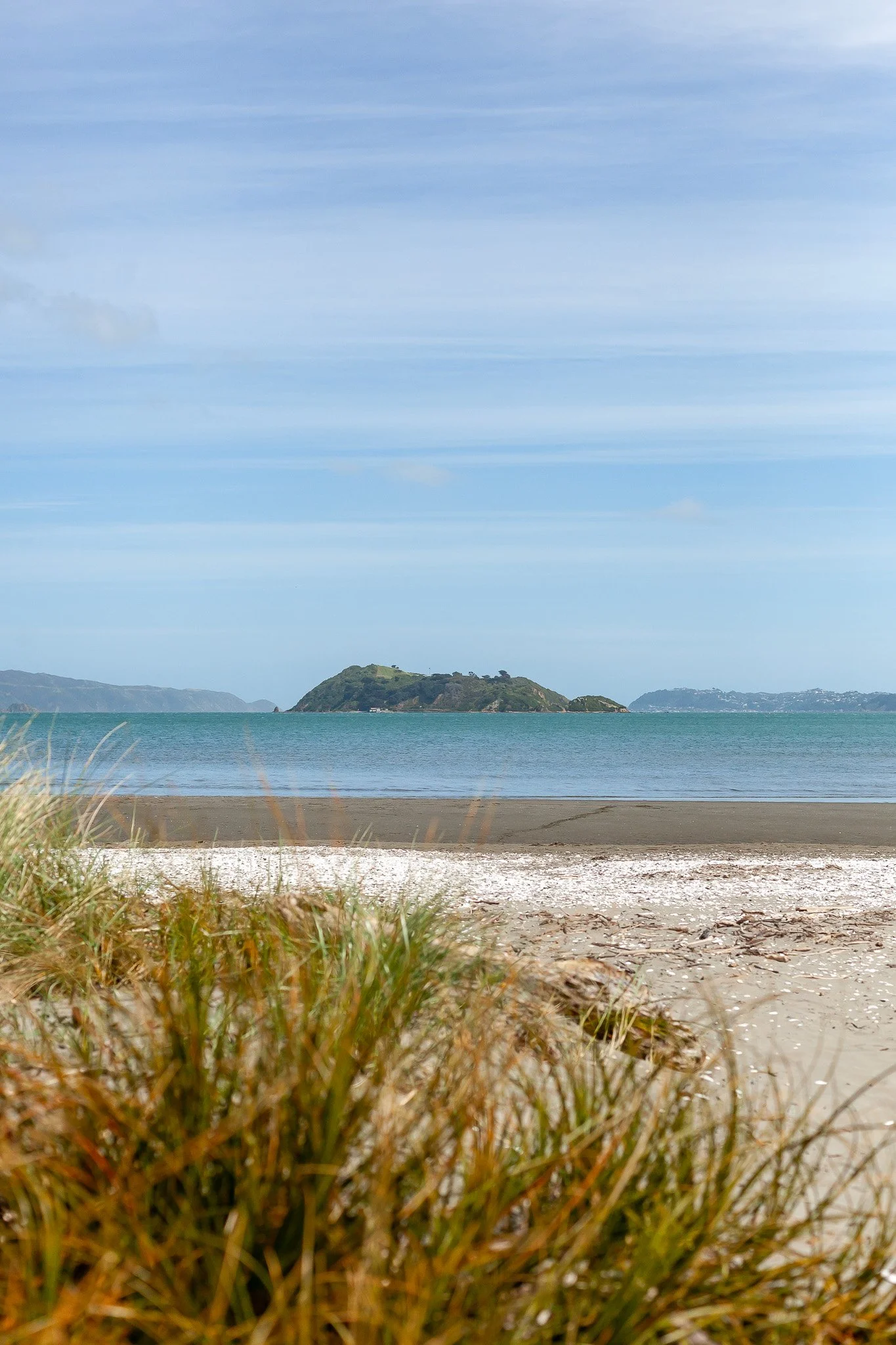 A sandy beach with grass in the foreground, calm ocean water, an island in the distance, and a partly cloudy sky.