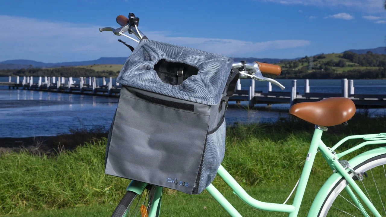Chillbug pet carrier backpack mounted on mint green bicycle near a lake with boardwalk in the background – outdoor product photo captured by Cole Studios.
