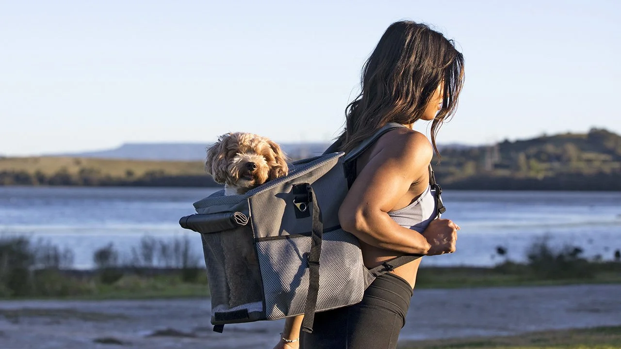 Woman carrying a dog in a backpack by a lake