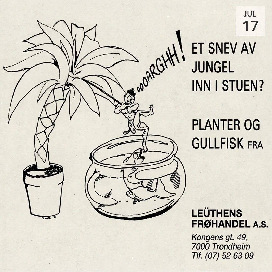 Faglig innspill: