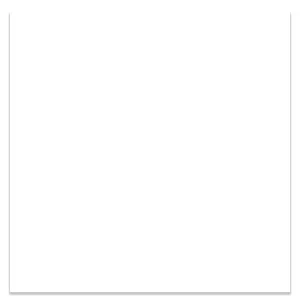 Iceberg White - CU3410 LRV-79