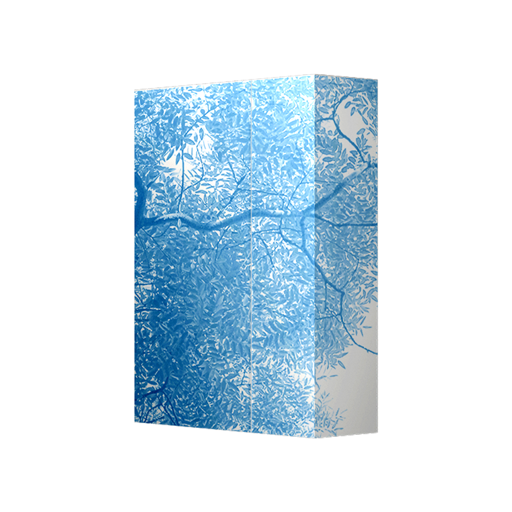 Diamond Gallery for washrooms