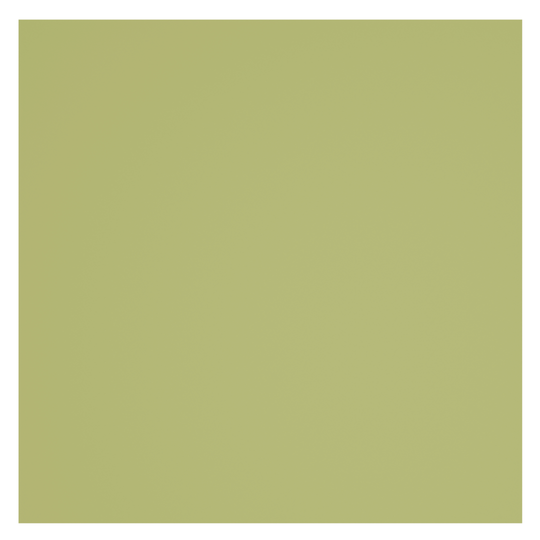 Meadow  LRV- 45