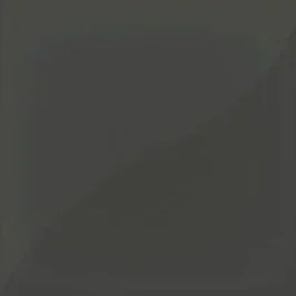 Charcoal - CU3879  LRV-9