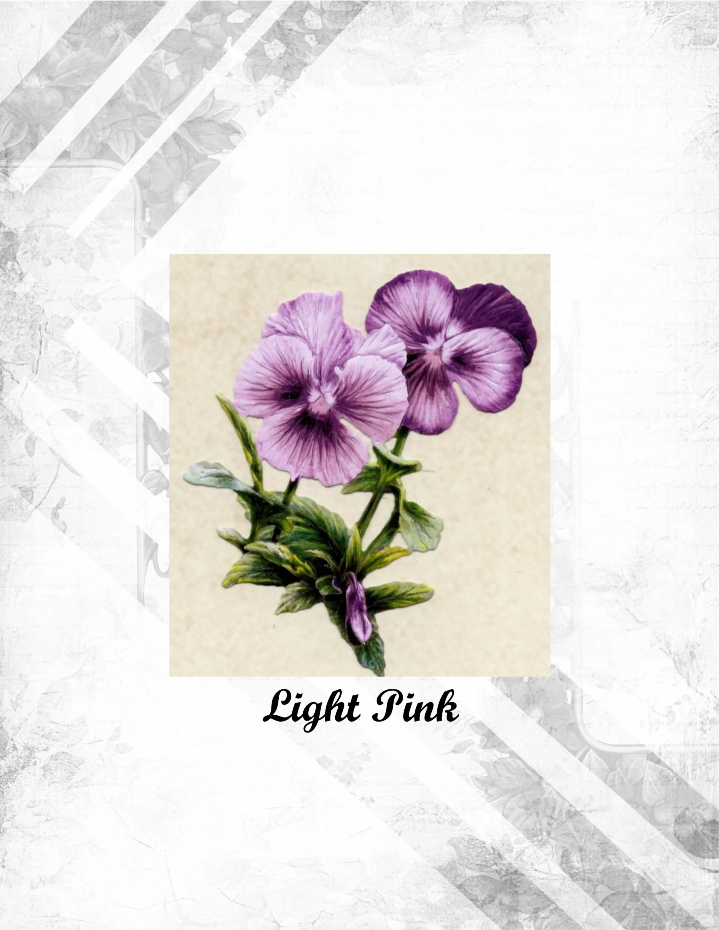 Light Pink (2).jpg