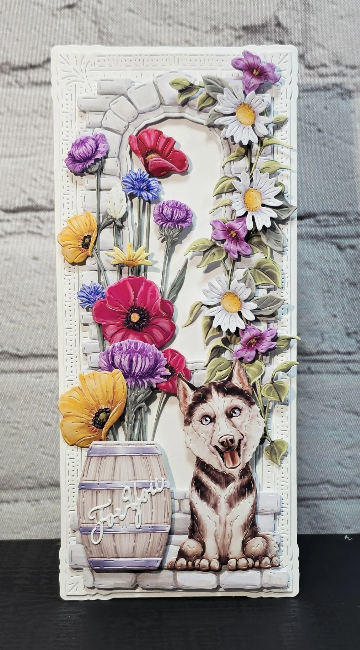 3DC-0361-1 Shawna.jpg