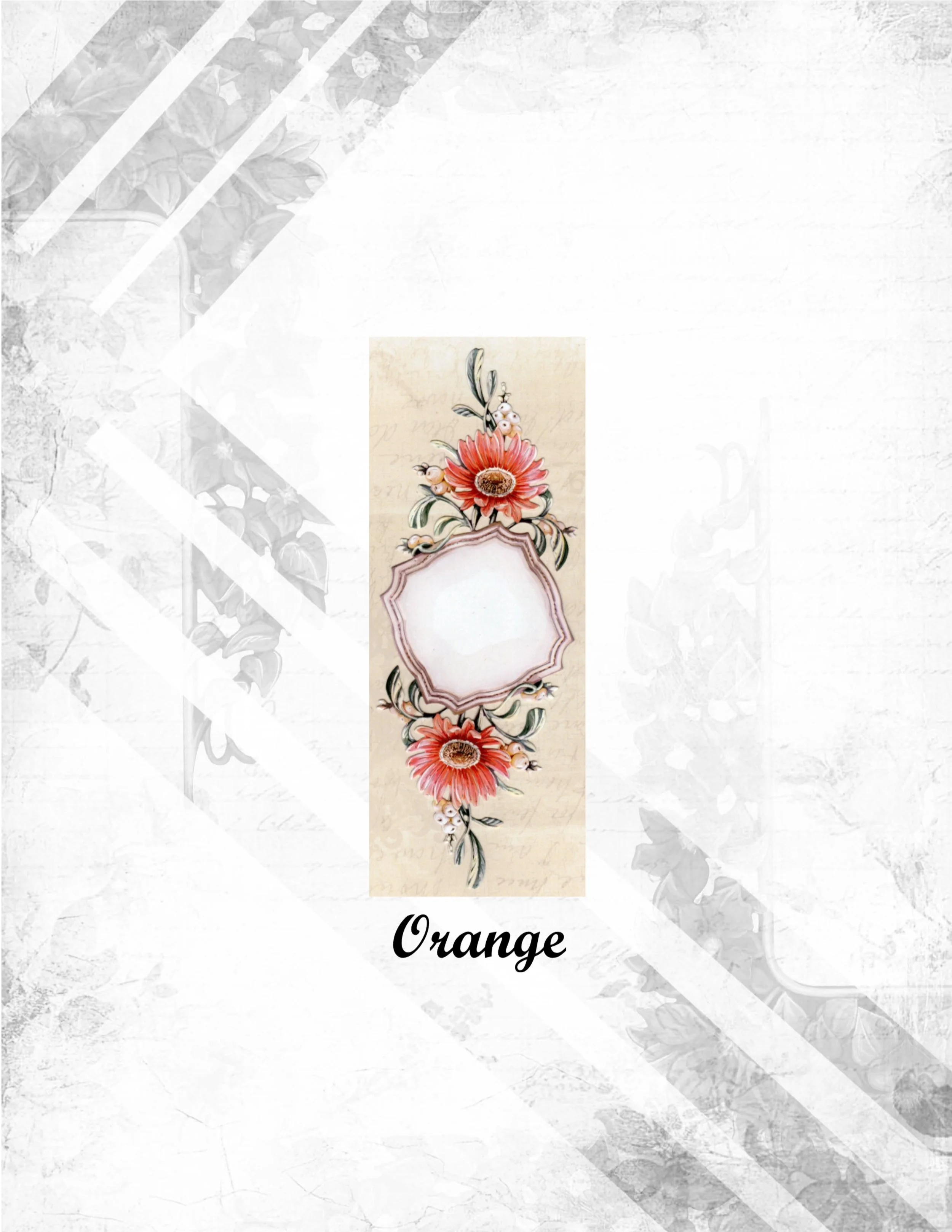 Orange.jpg