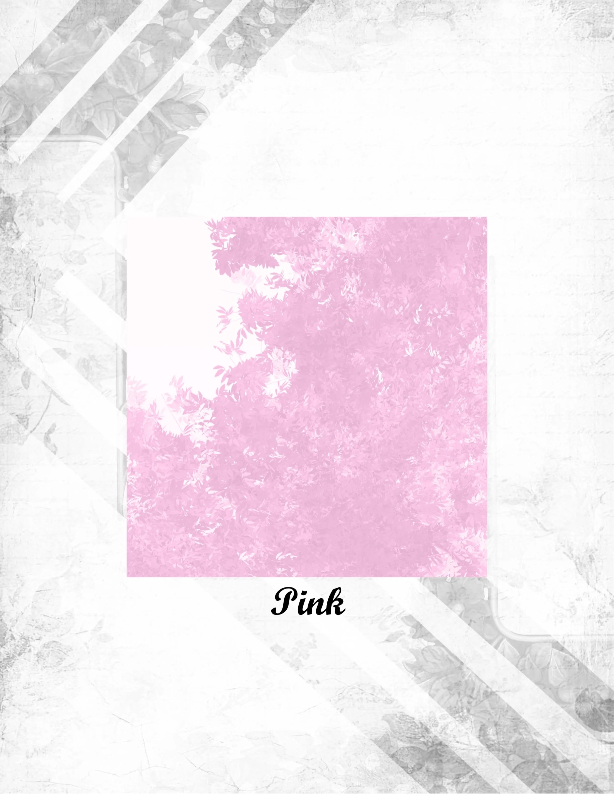 Pink.jpg