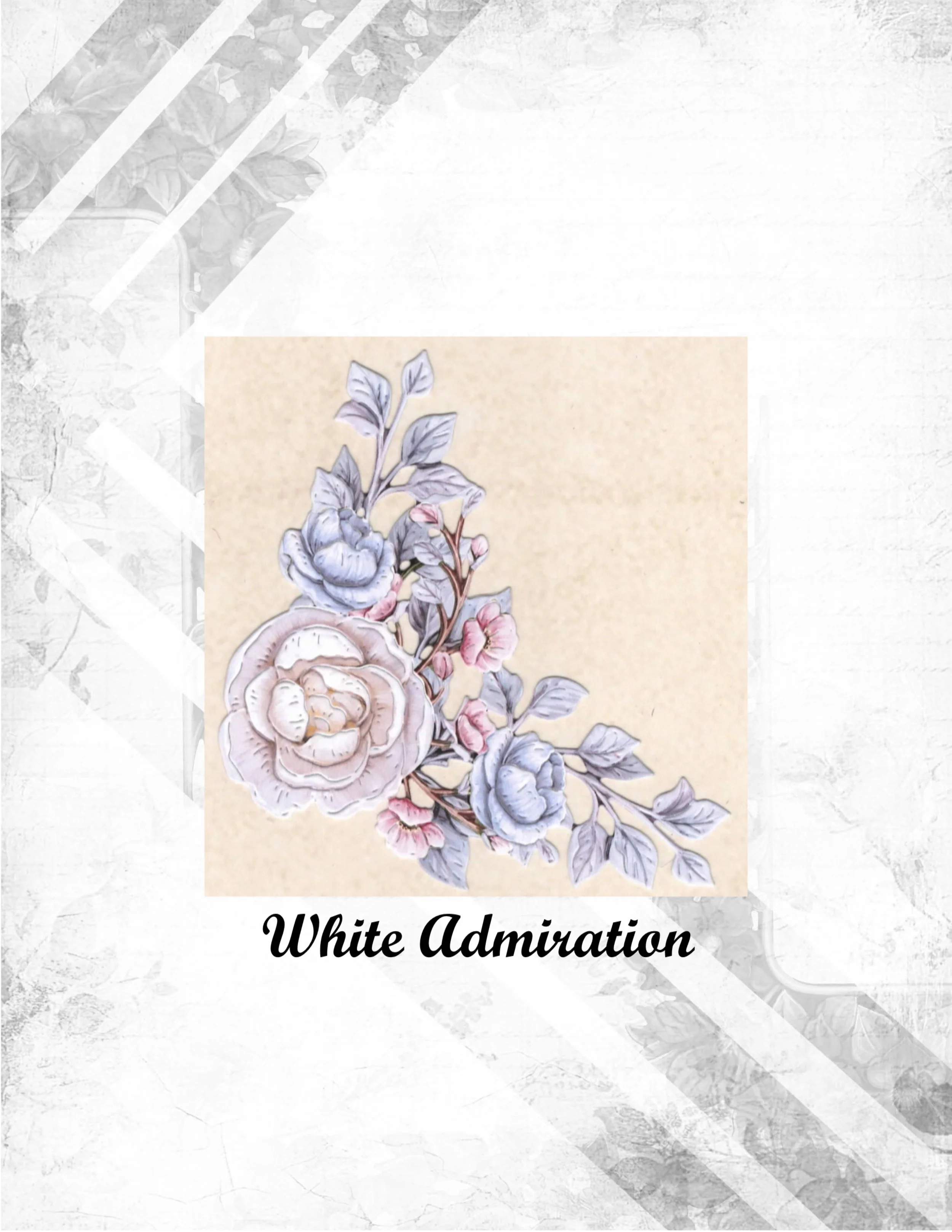 White Admiration.jpg