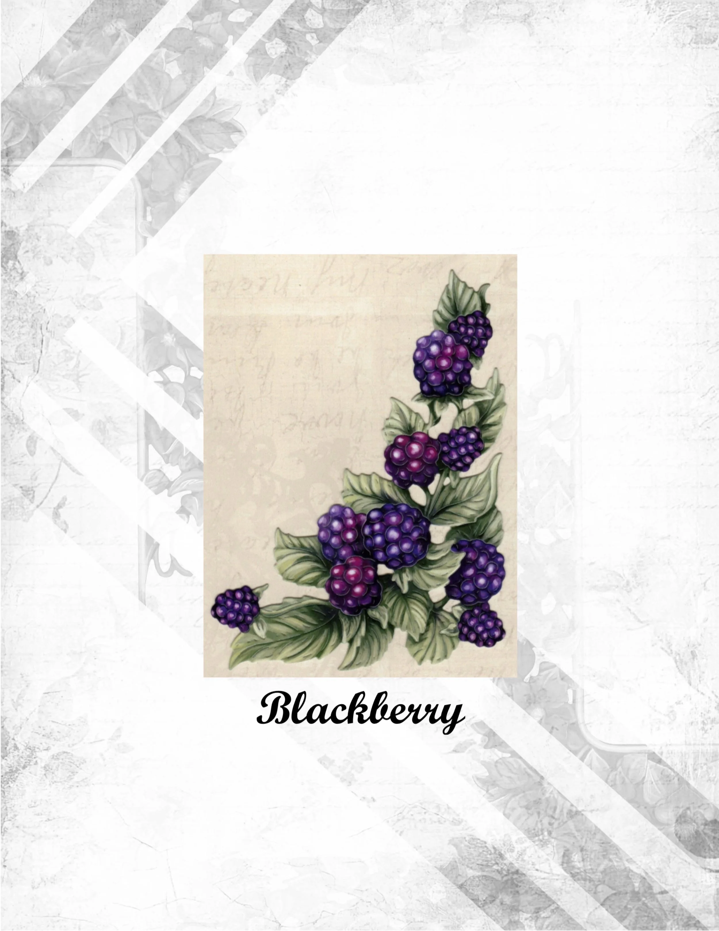 Blackberry.jpg