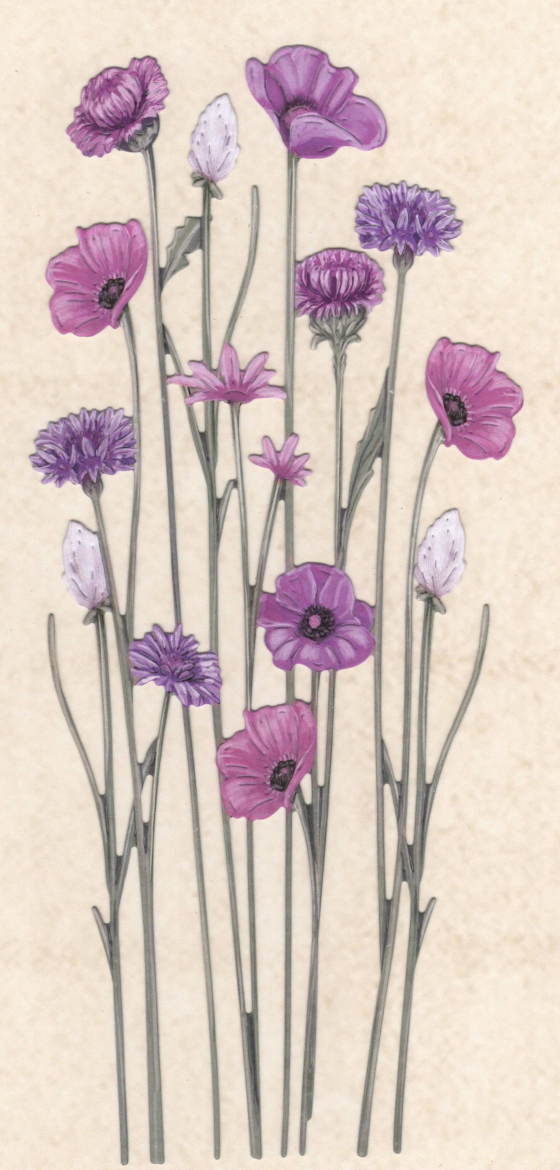 Purple.jpg