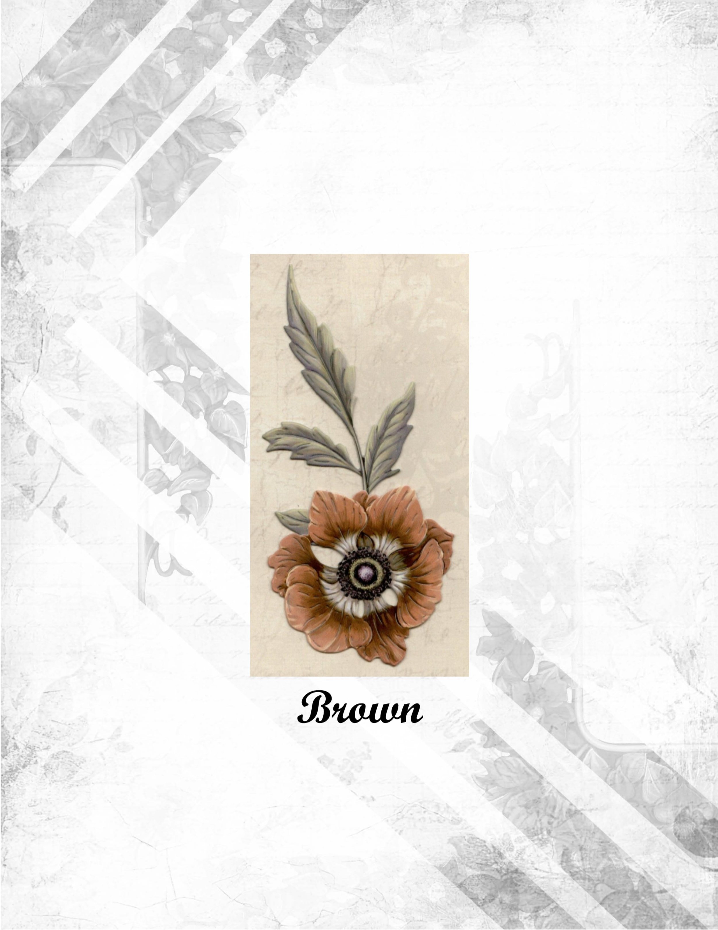 Brown.jpg