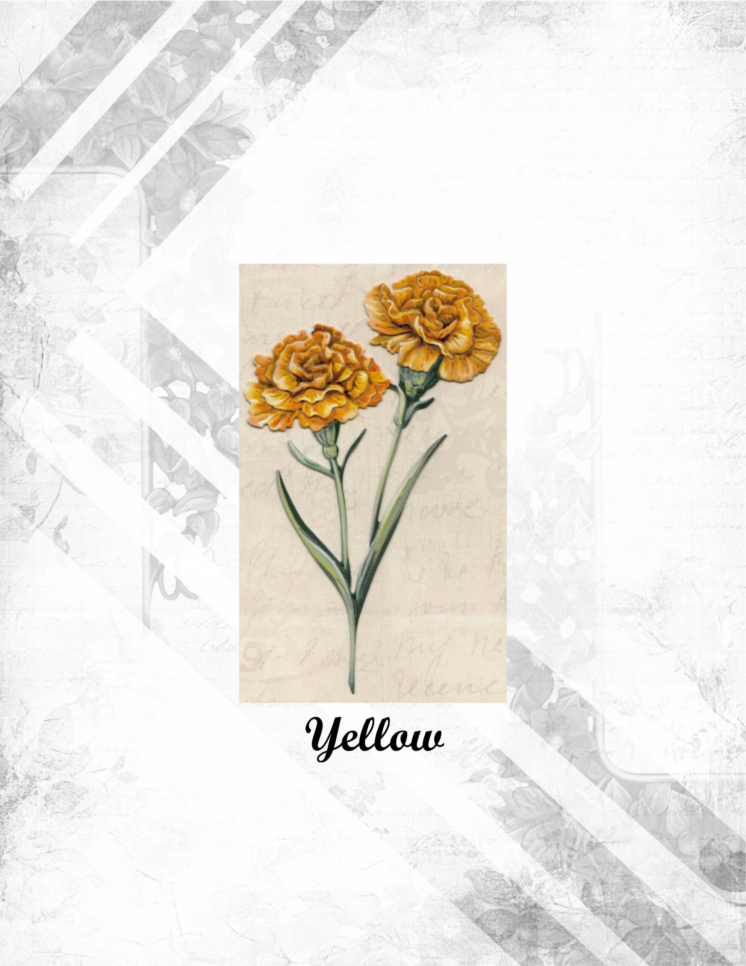 Yellow.jpg