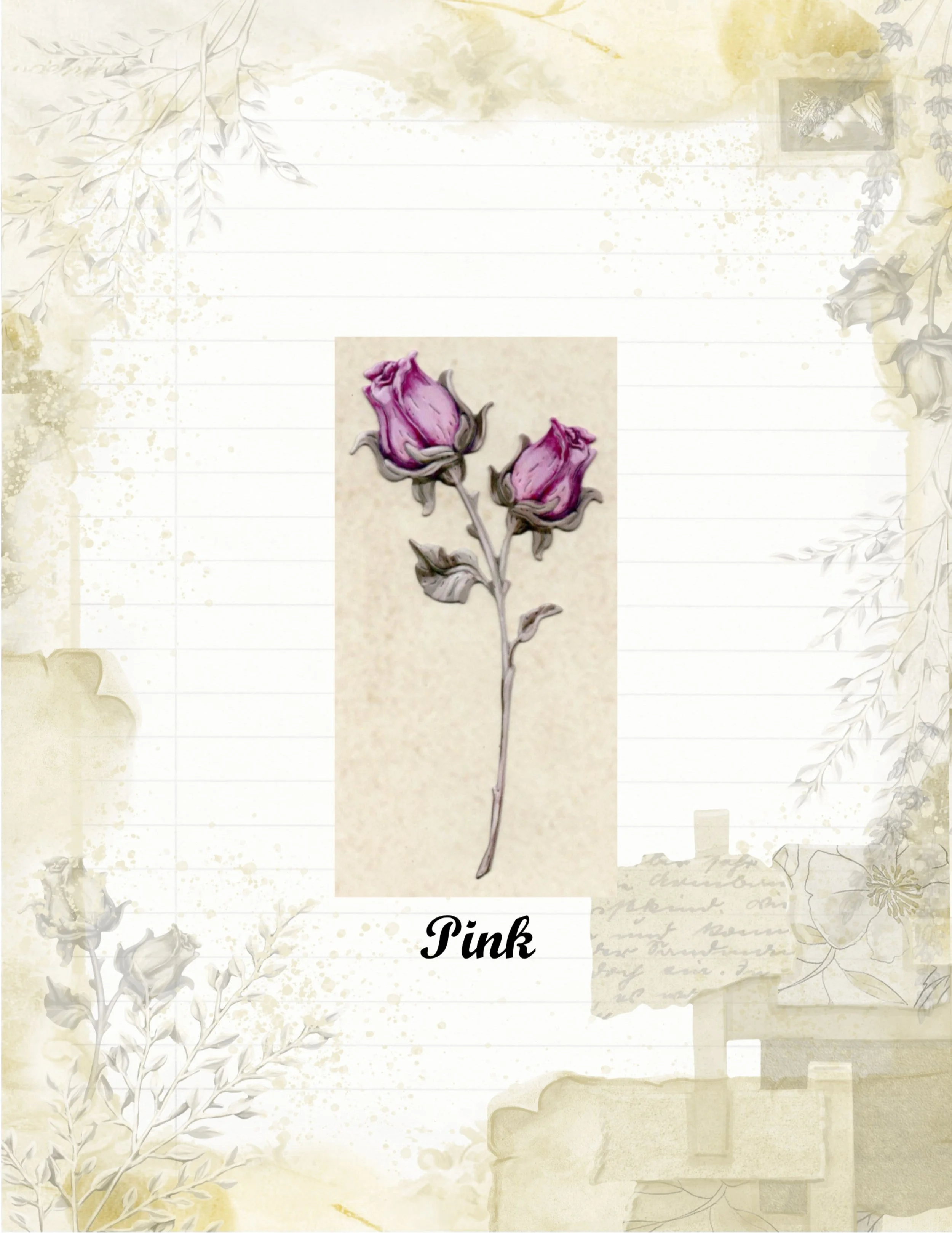 Pink 2.jpg