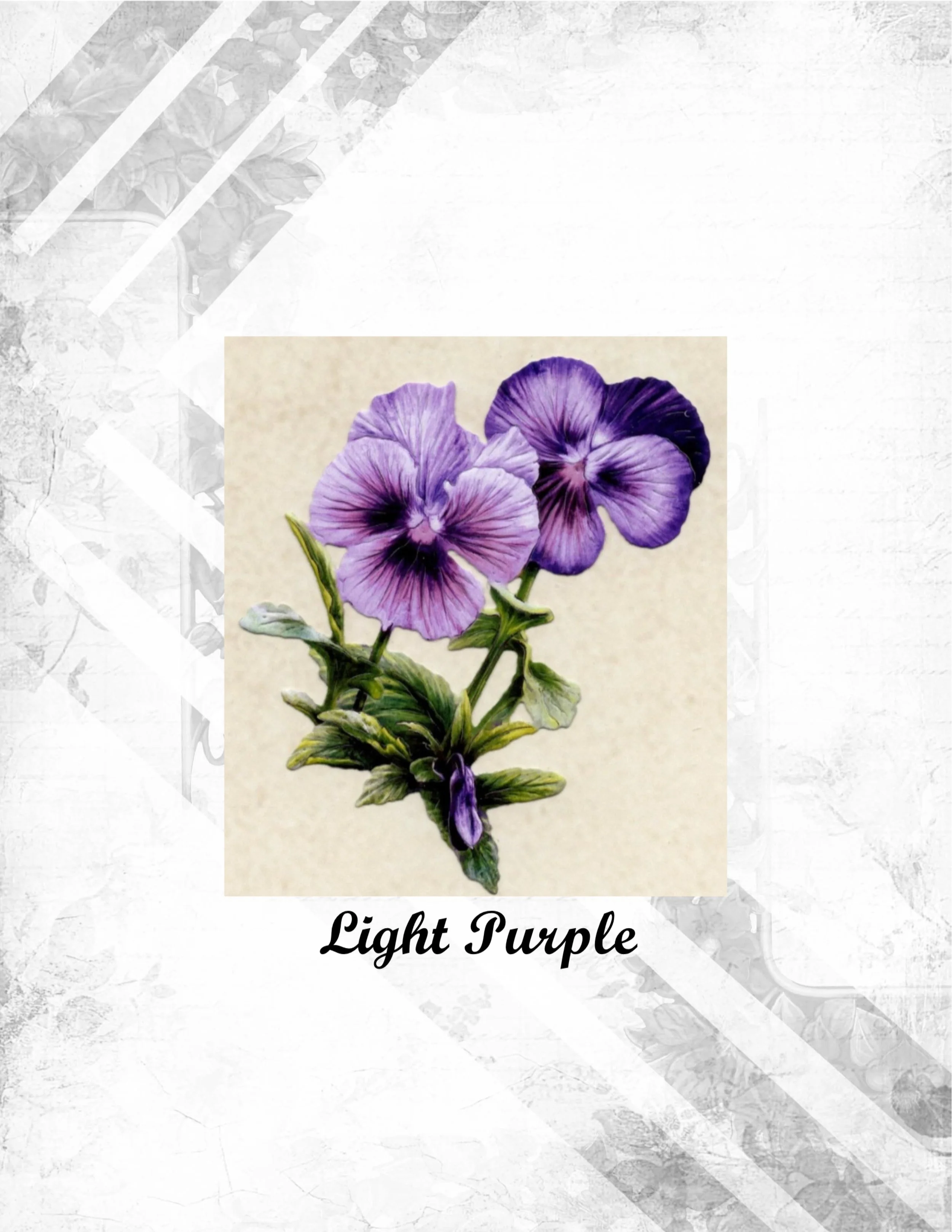 Light Purple (2).jpg