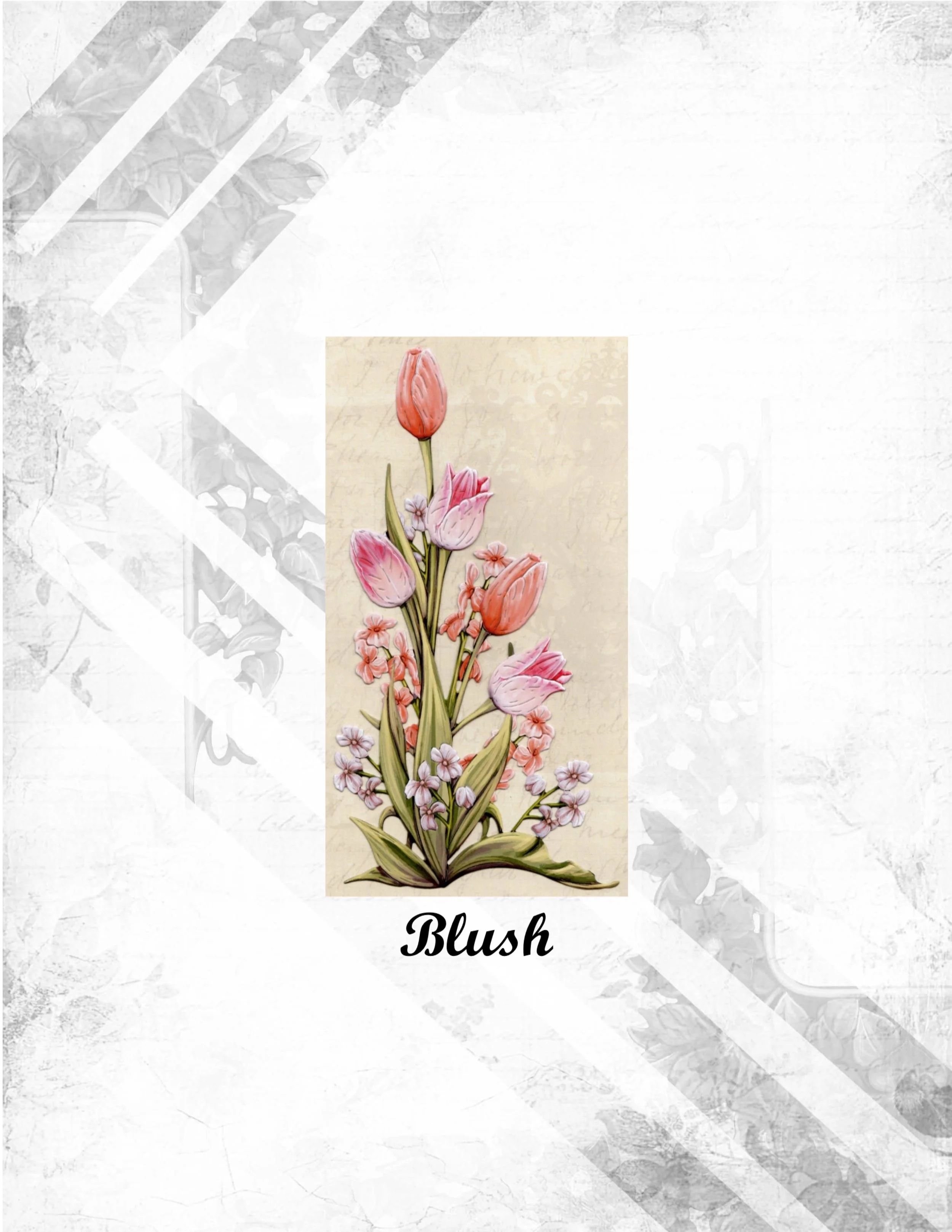 Blush.jpg