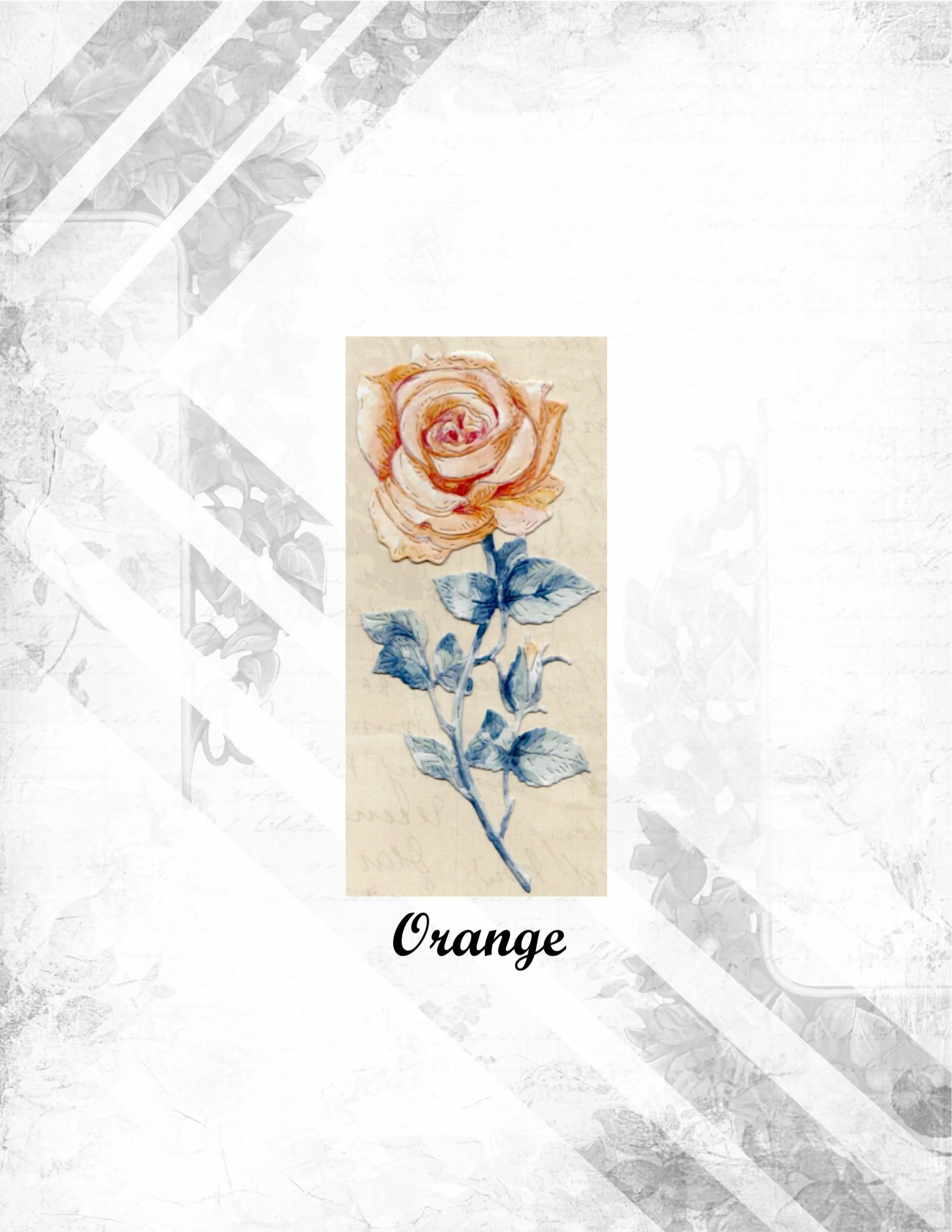 Orange.jpg
