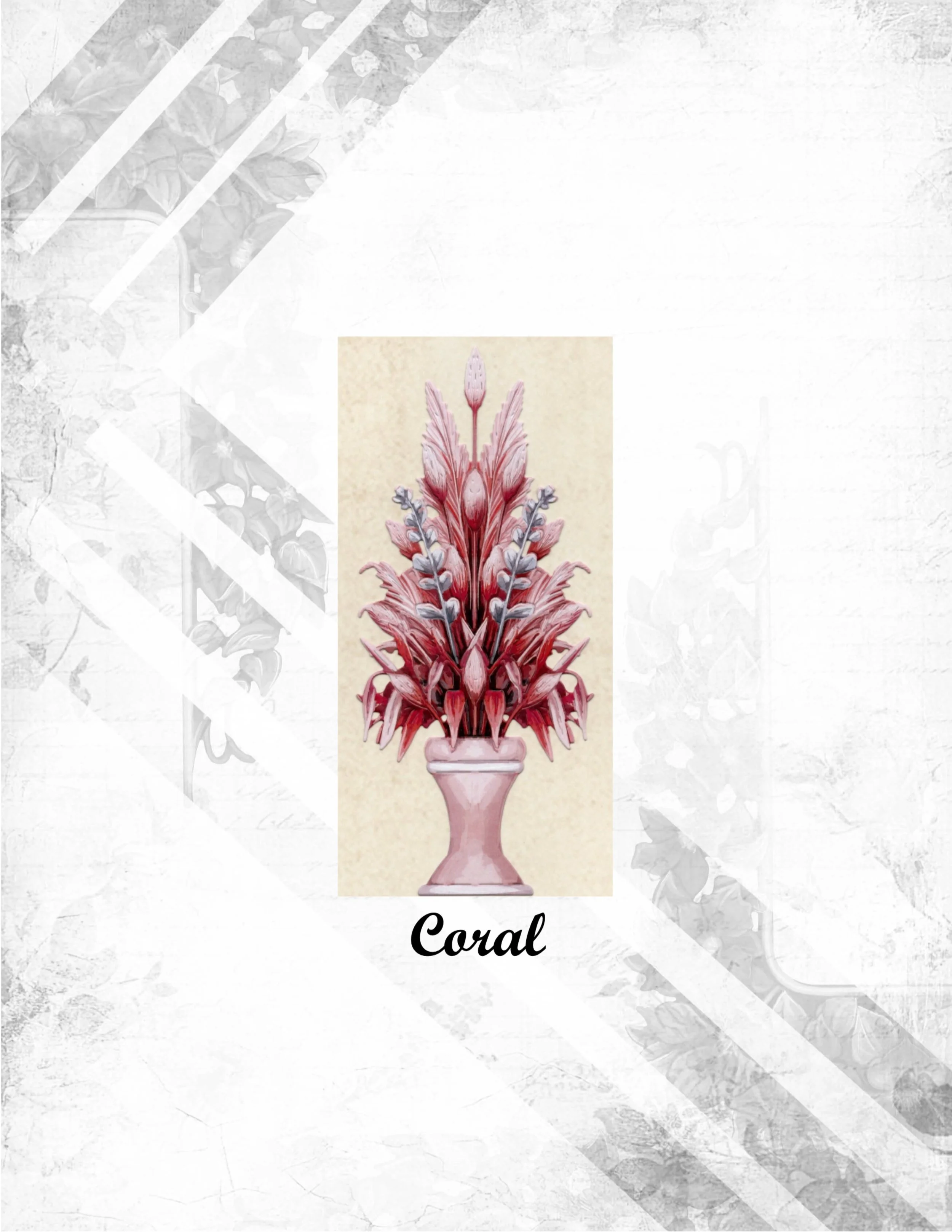 Coral.jpg