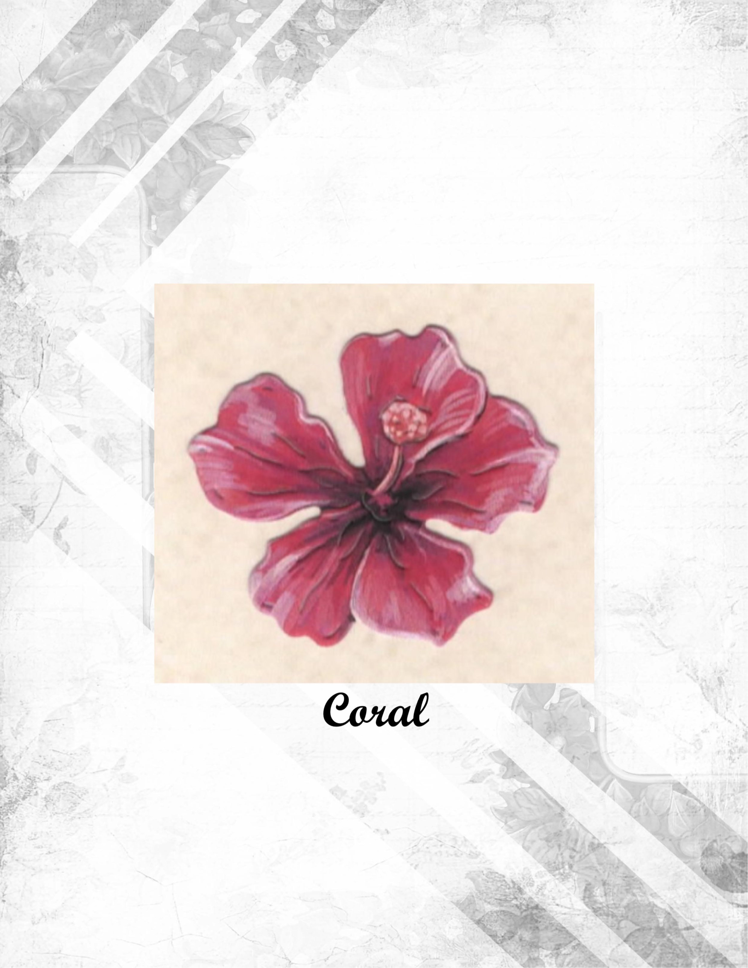 Coral.jpg