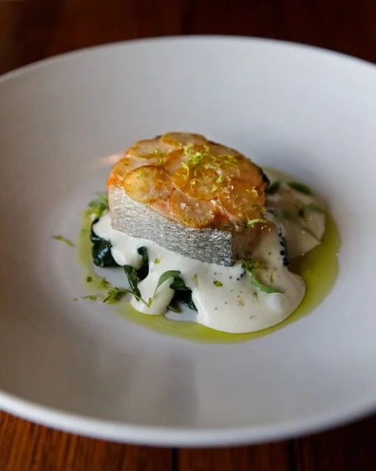 A plated dish featuring a piece of cooked fish topped with a garnish, served on a bed of creamy sauce with greens, olive oil, and herbs.