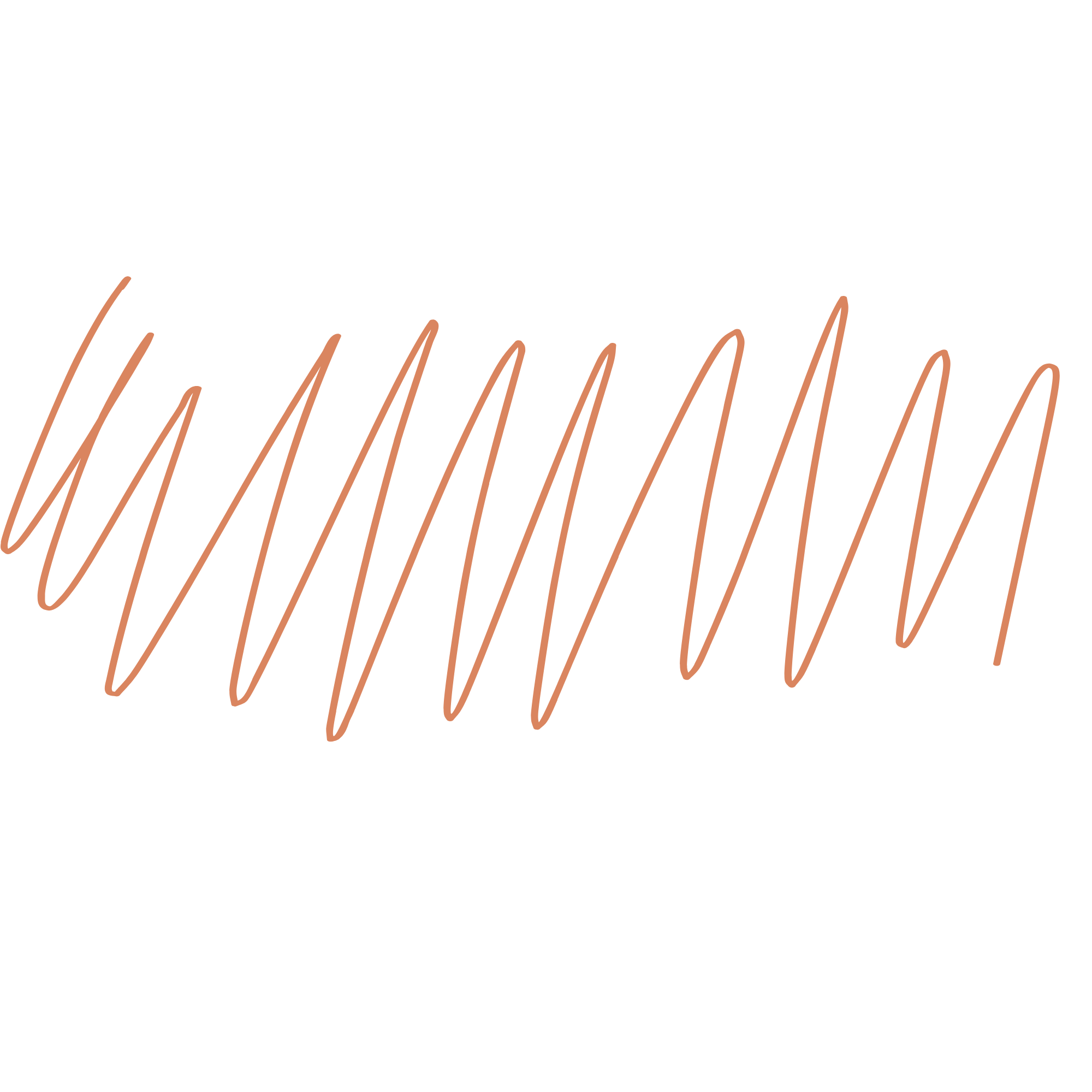 Logo demonstrating somatic movement as a supporting modality to coaching