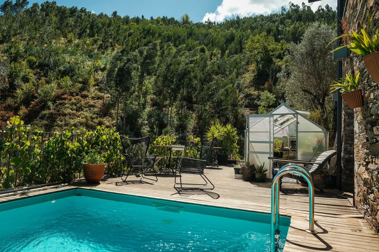 Outdoor patio with a swimming pool, surrounded by black chairs, potted plants, and a small greenhouse, with a forested hillside in the background.