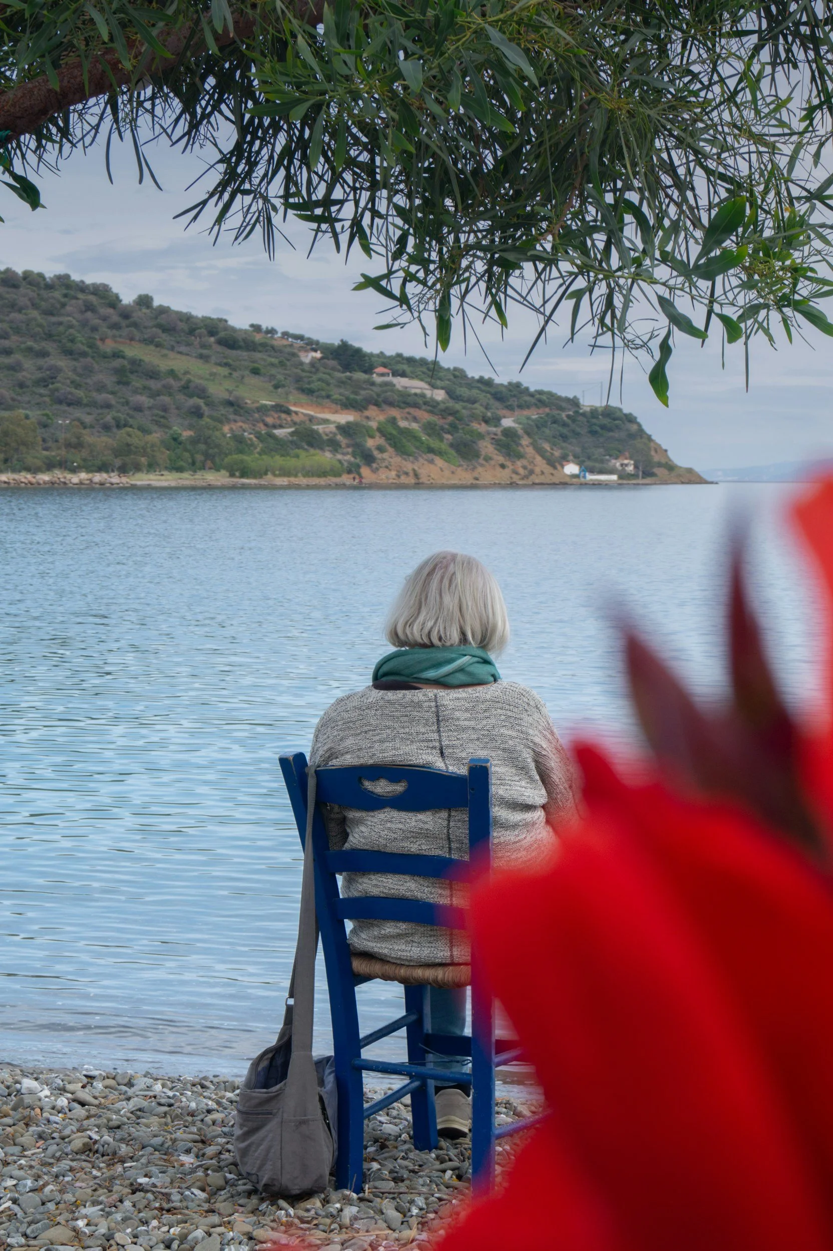 woman sitting on bench overlooking sea with a red flower in the foreground