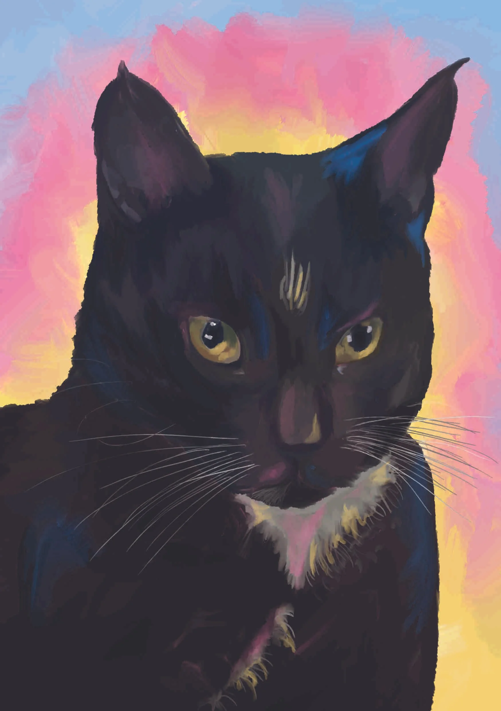 Pet Portrait Cat Colorful.jpg