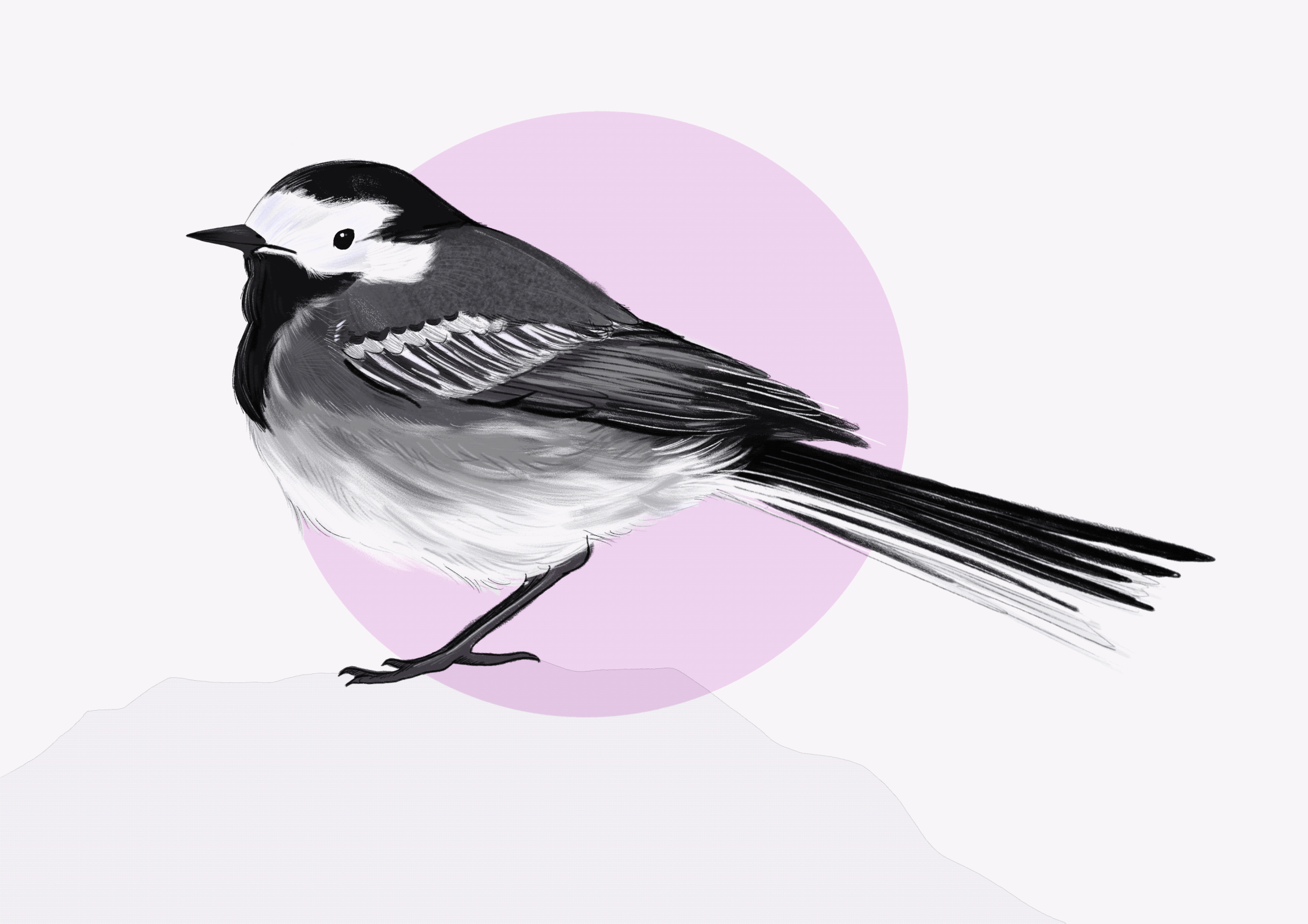 Untitled_Artwork.gif