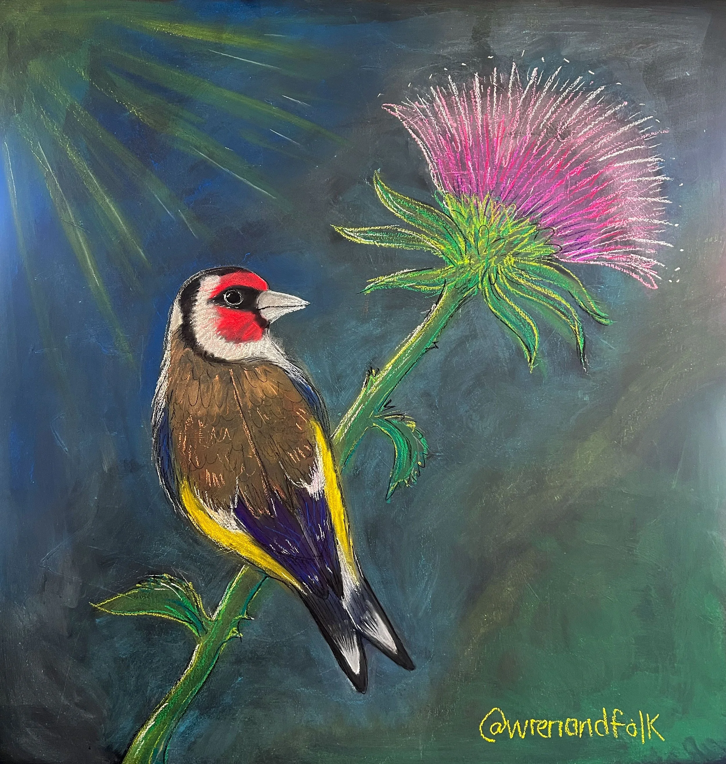 Goldfinch 