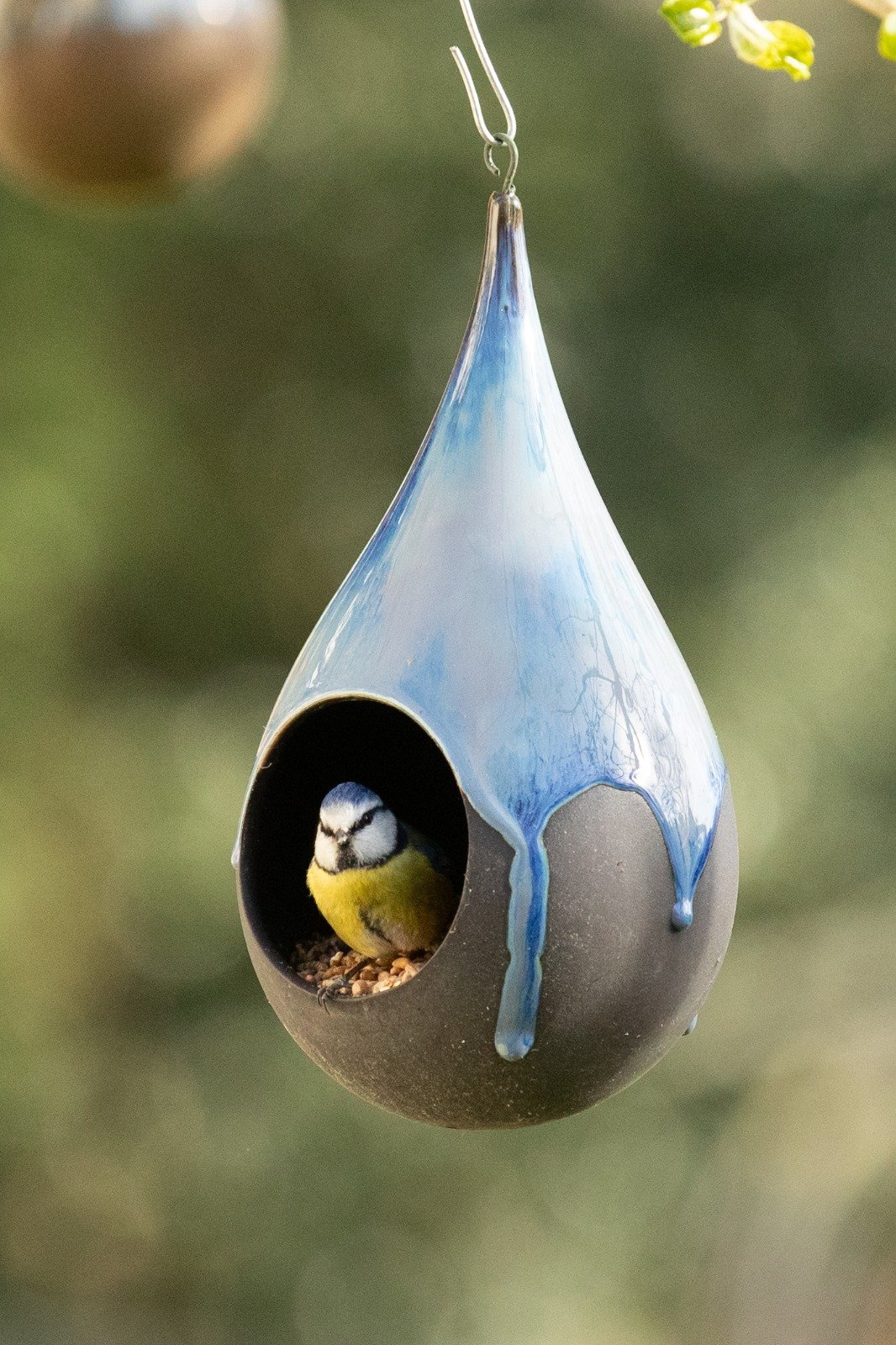 PHOTO-2026-04-05-19-40-50 3.jpeg