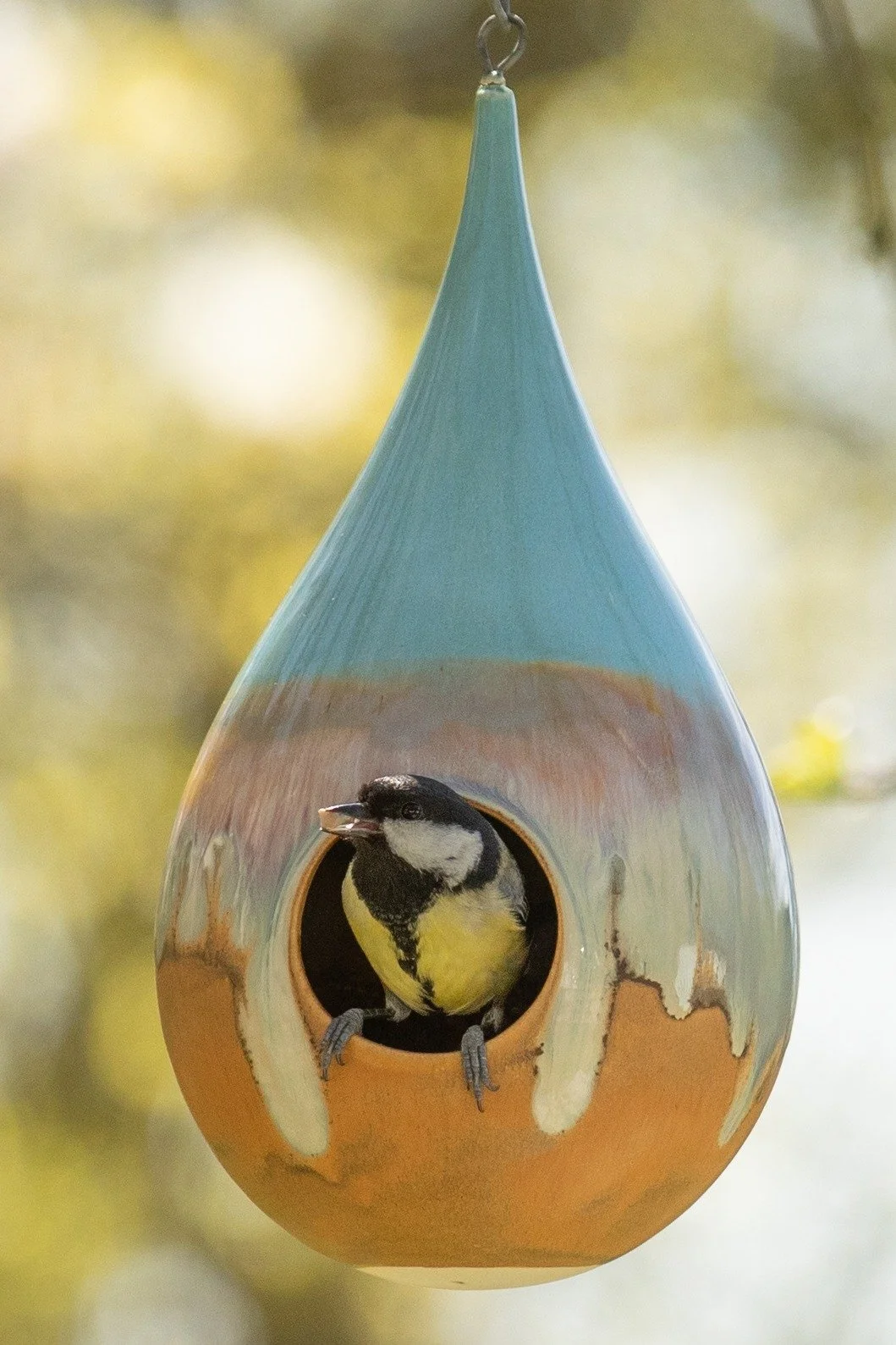 A birdhouse hanging from a tree branch with a chickadee bird inside, open at the front.