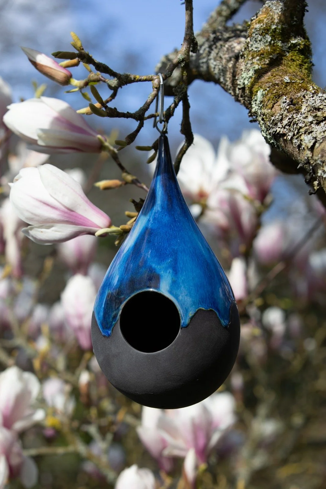 PHOTO-2026-03-22-17-54-19 3.jpeg