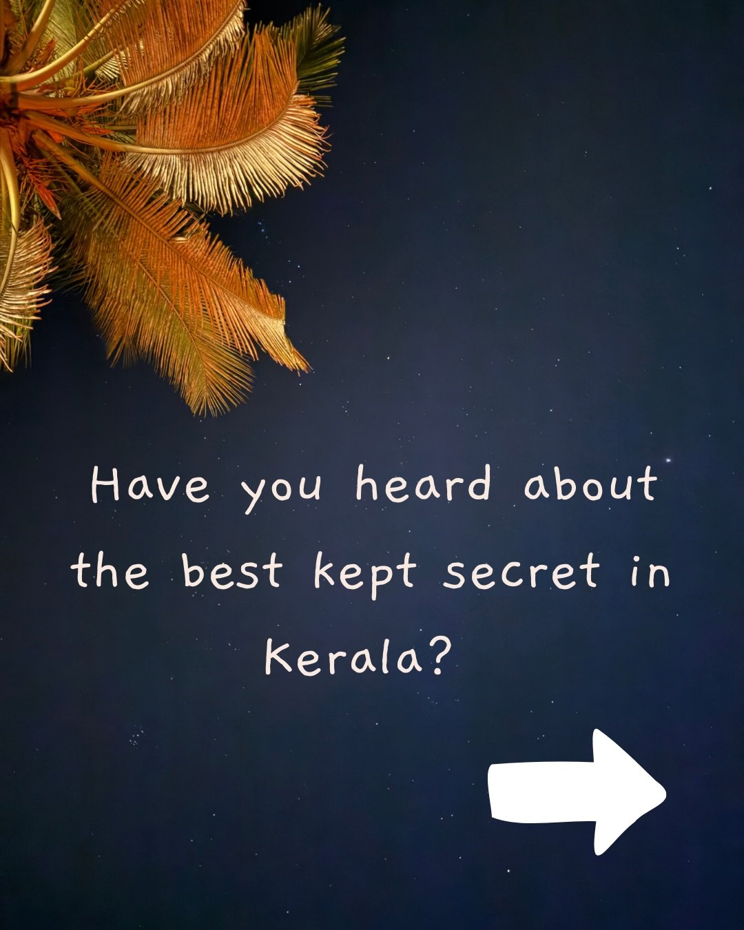 This season in Kerala has been stunning so far. Evenings under the stars with likeminded souls, eating food cooked lovingly out of our Pikniktable kitchen. Dear friends coming to support and pitch in. So grateful for everyone who makes Pikniktable so