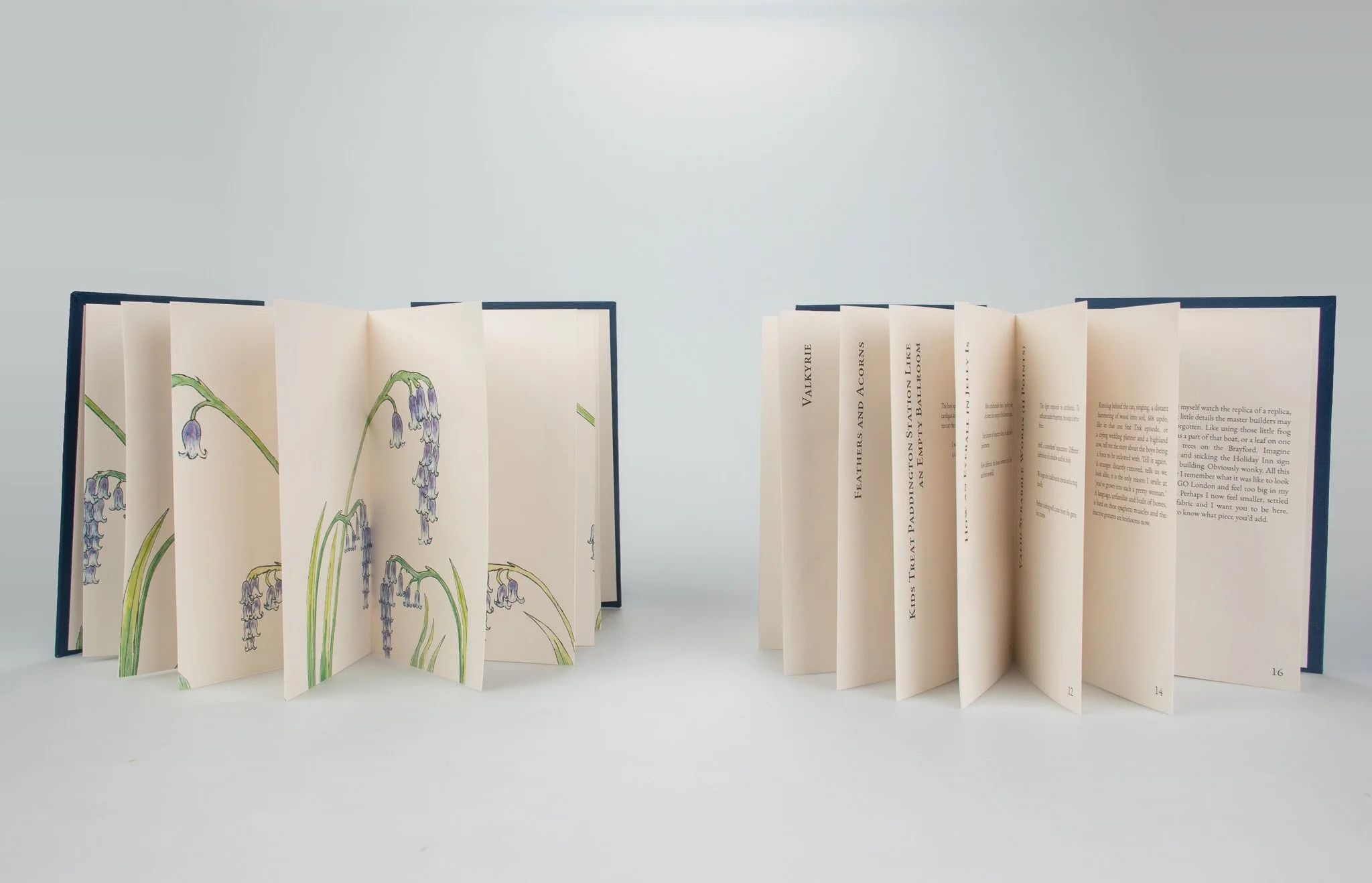 DCH open books.jpg