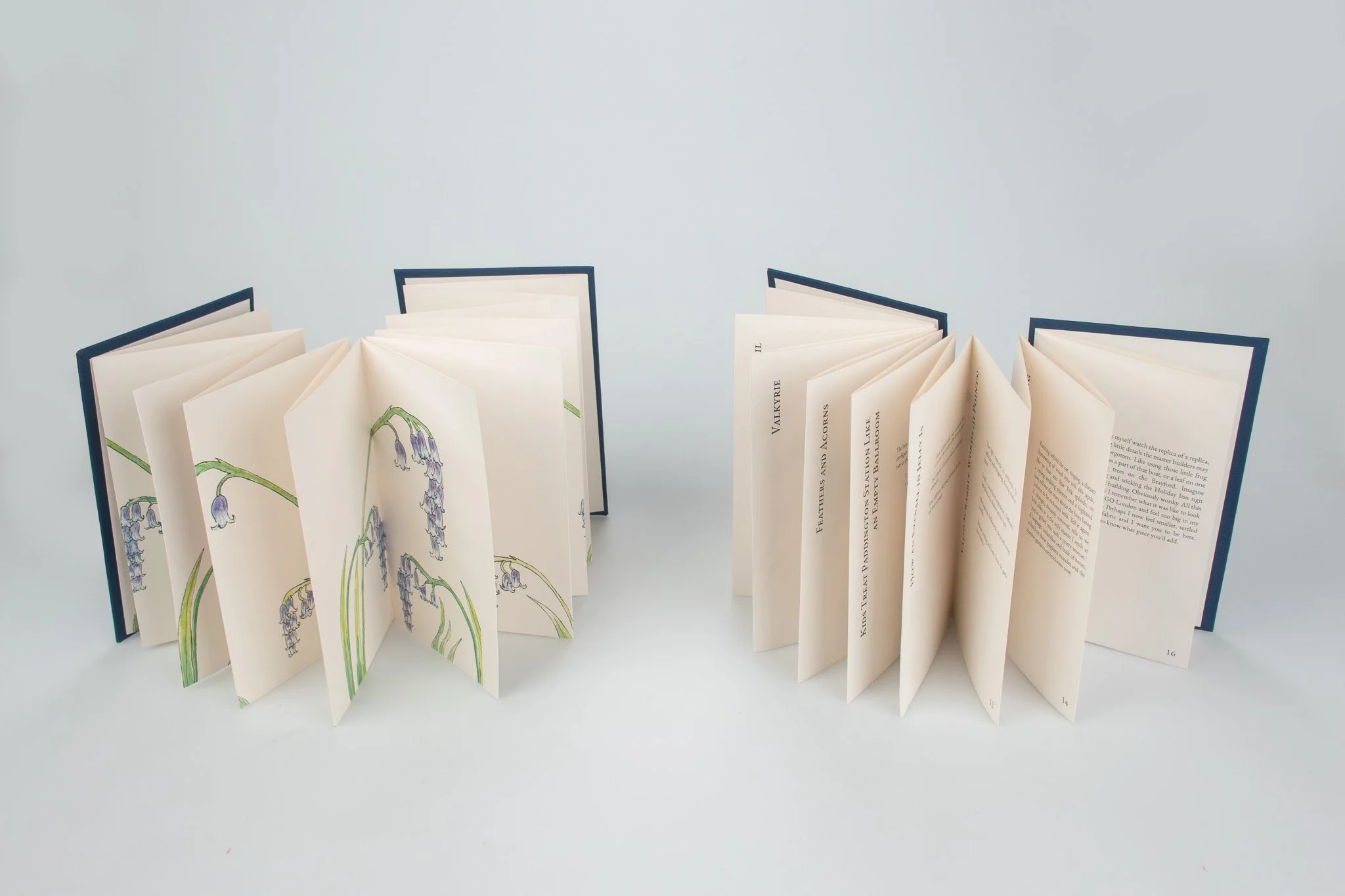 DCH open books 2.jpg