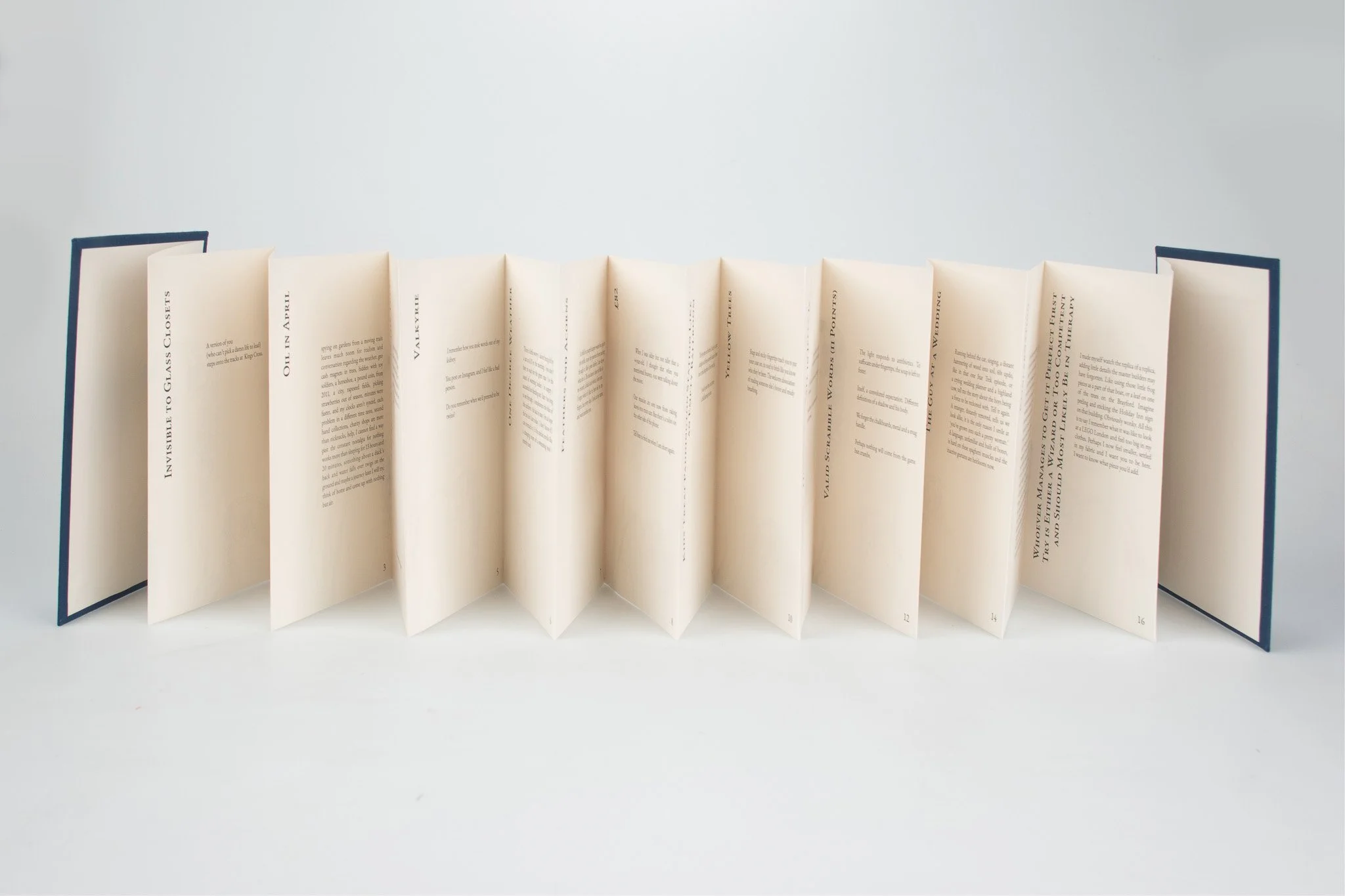 DCH open book panoramic text 2.jpg