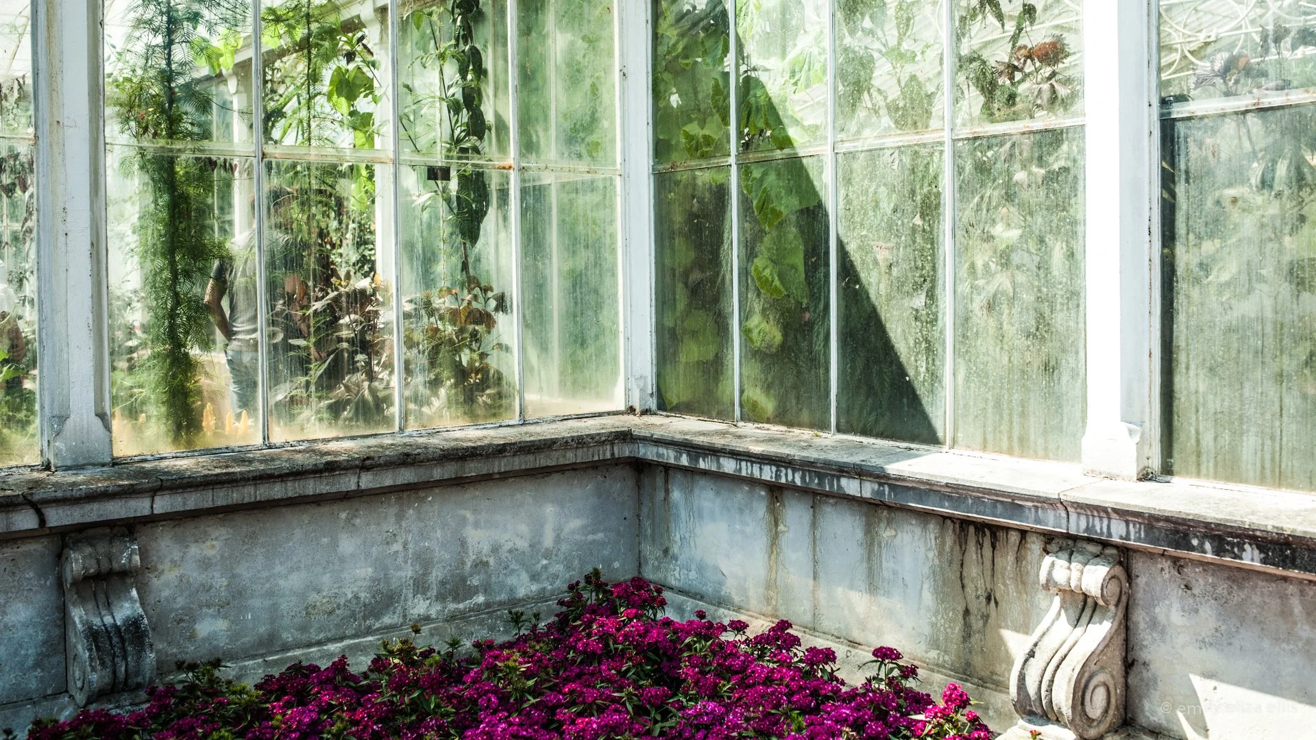 kew_ee_ (11).jpg