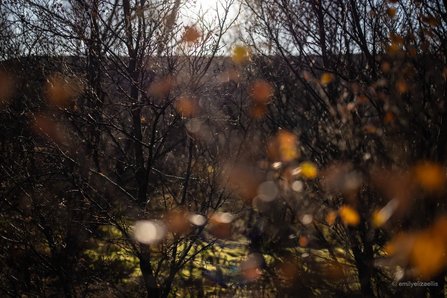 Iceland_ (14 of 71).jpg
