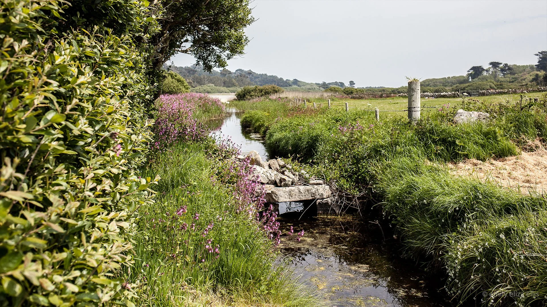 Isles-of-Scilly-015.jpg