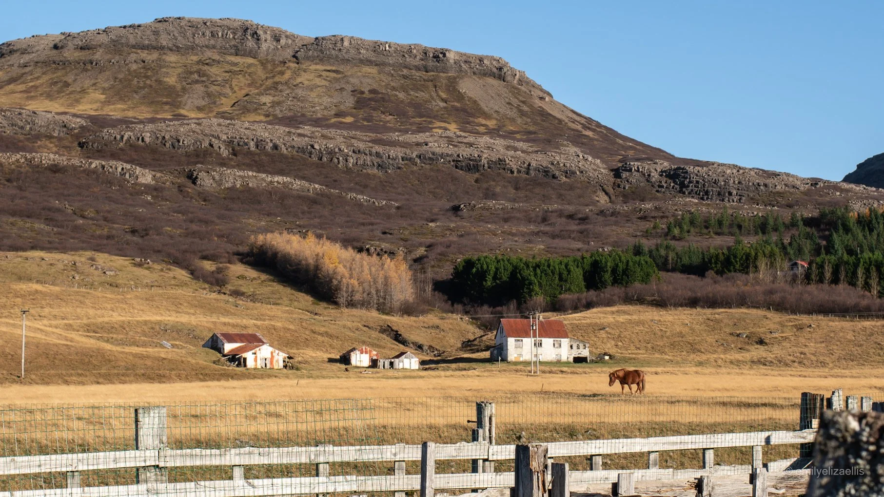 Iceland_ (11 of 71).jpg
