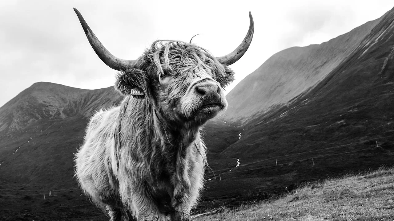 Isle of Skye, Scotland