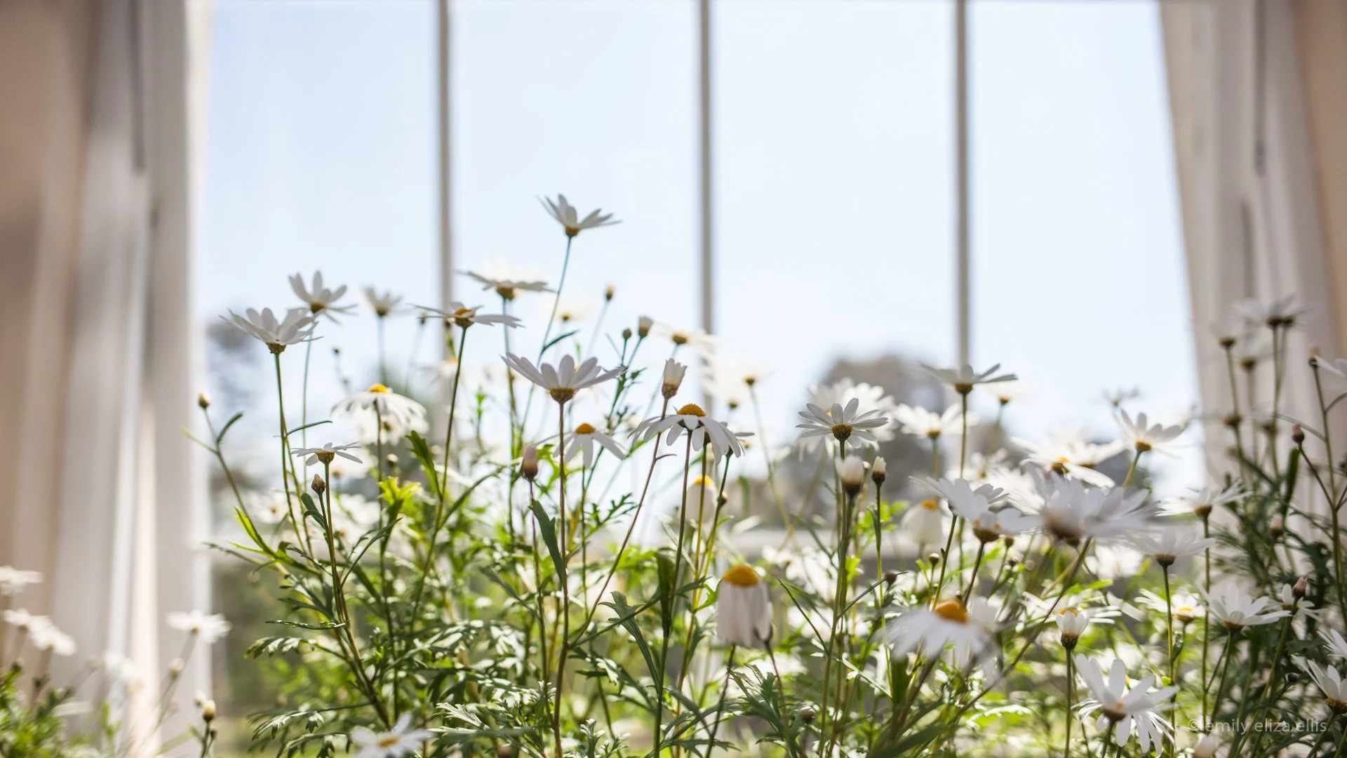 kew_ee_ (13).jpg
