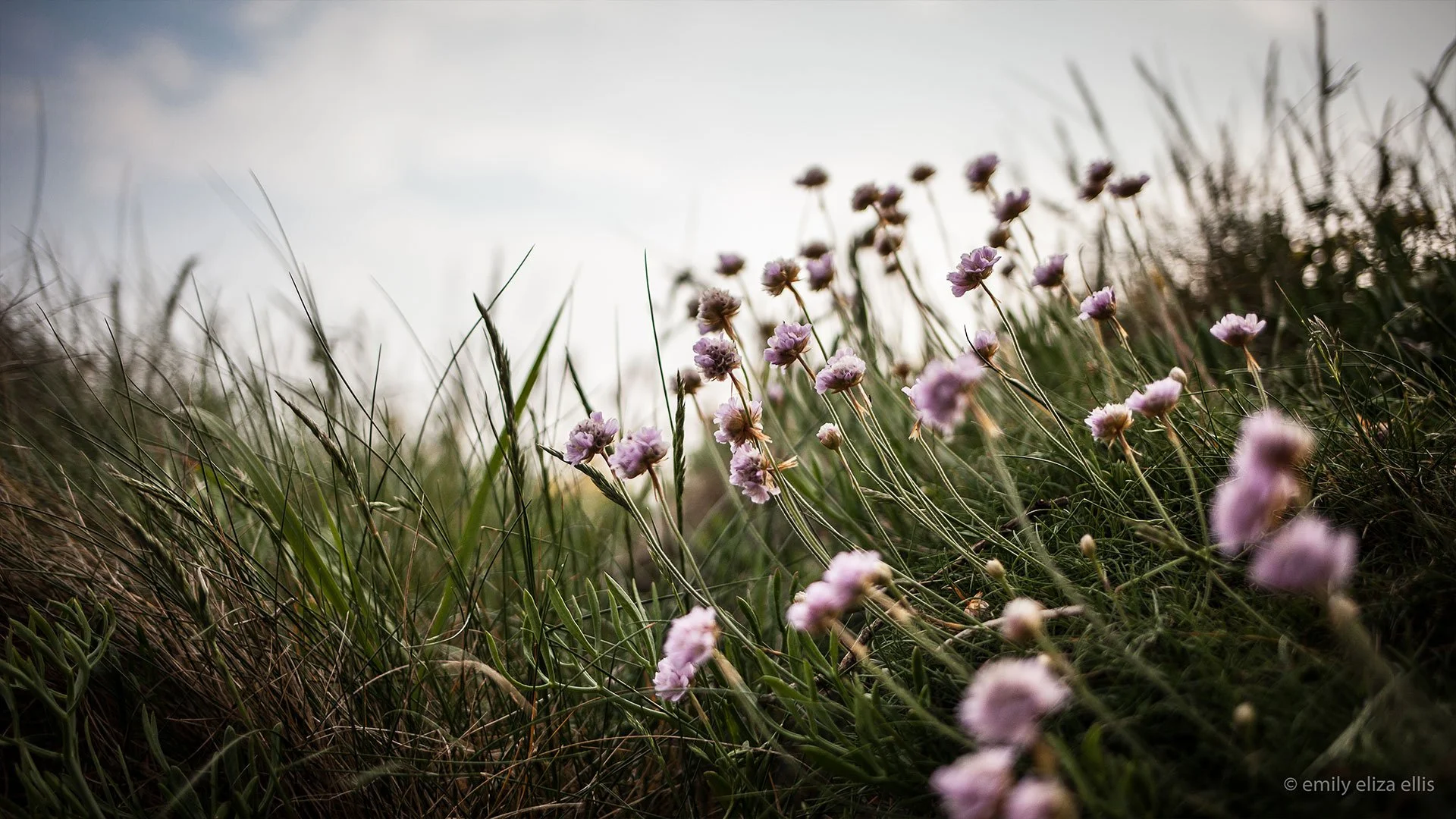 St Martins & Tresco, Scilly Isles, UK