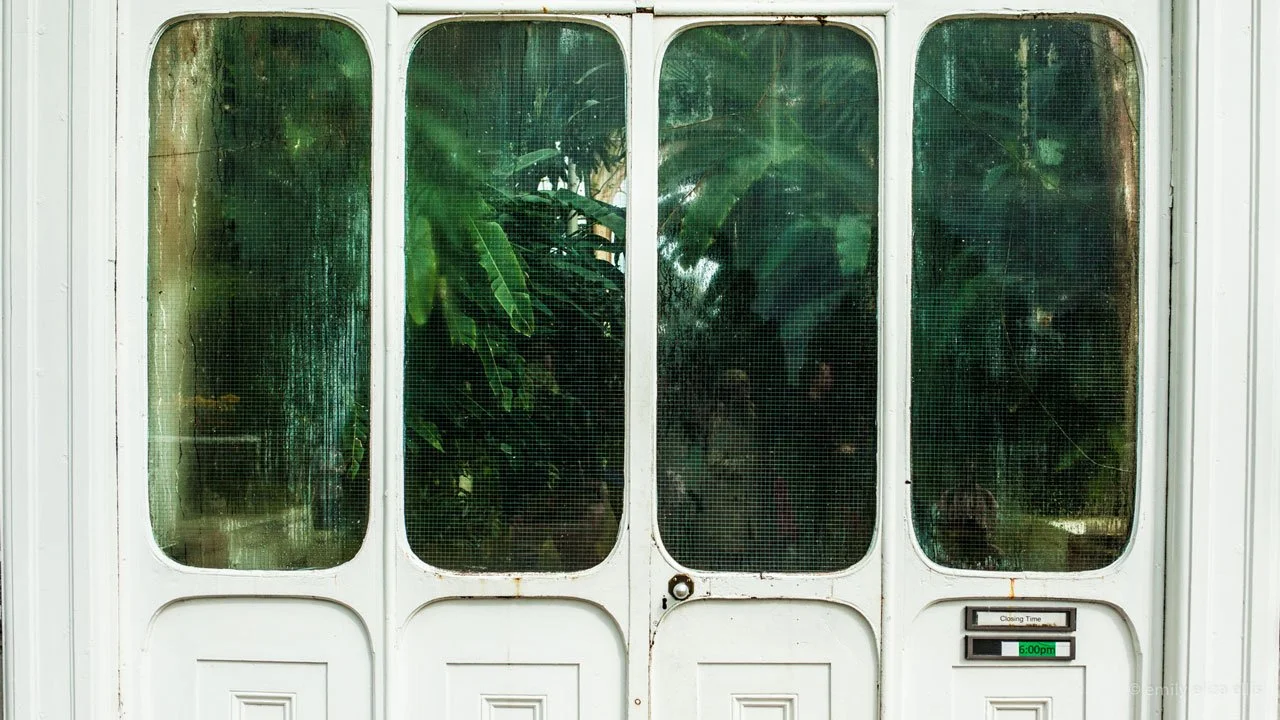 kew_ee_ (1).jpg