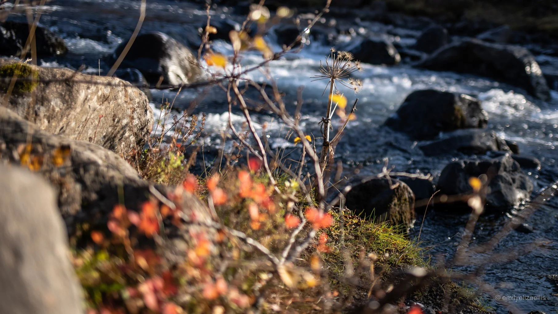 Iceland_ (17 of 71).jpg