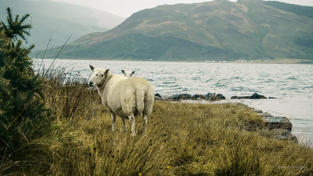 Isle of Skye eee 10.jpg